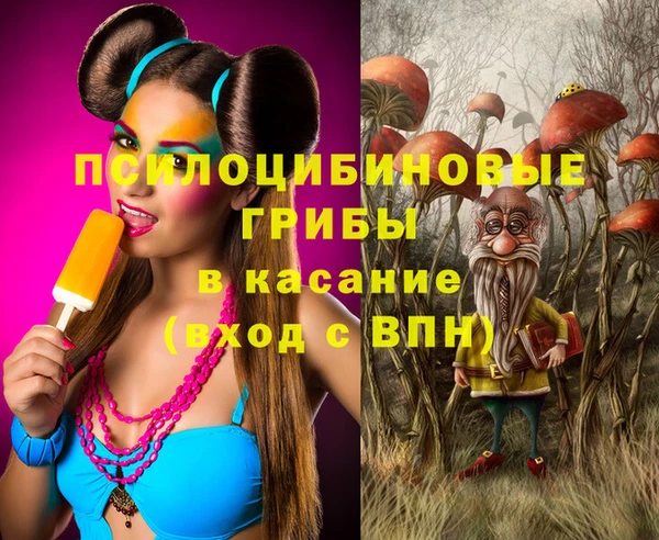 прущие грибы Алзамай
