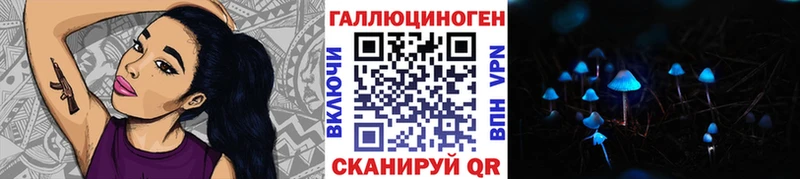 где найти   Пущино  Псилоцибиновые грибы прущие грибы 